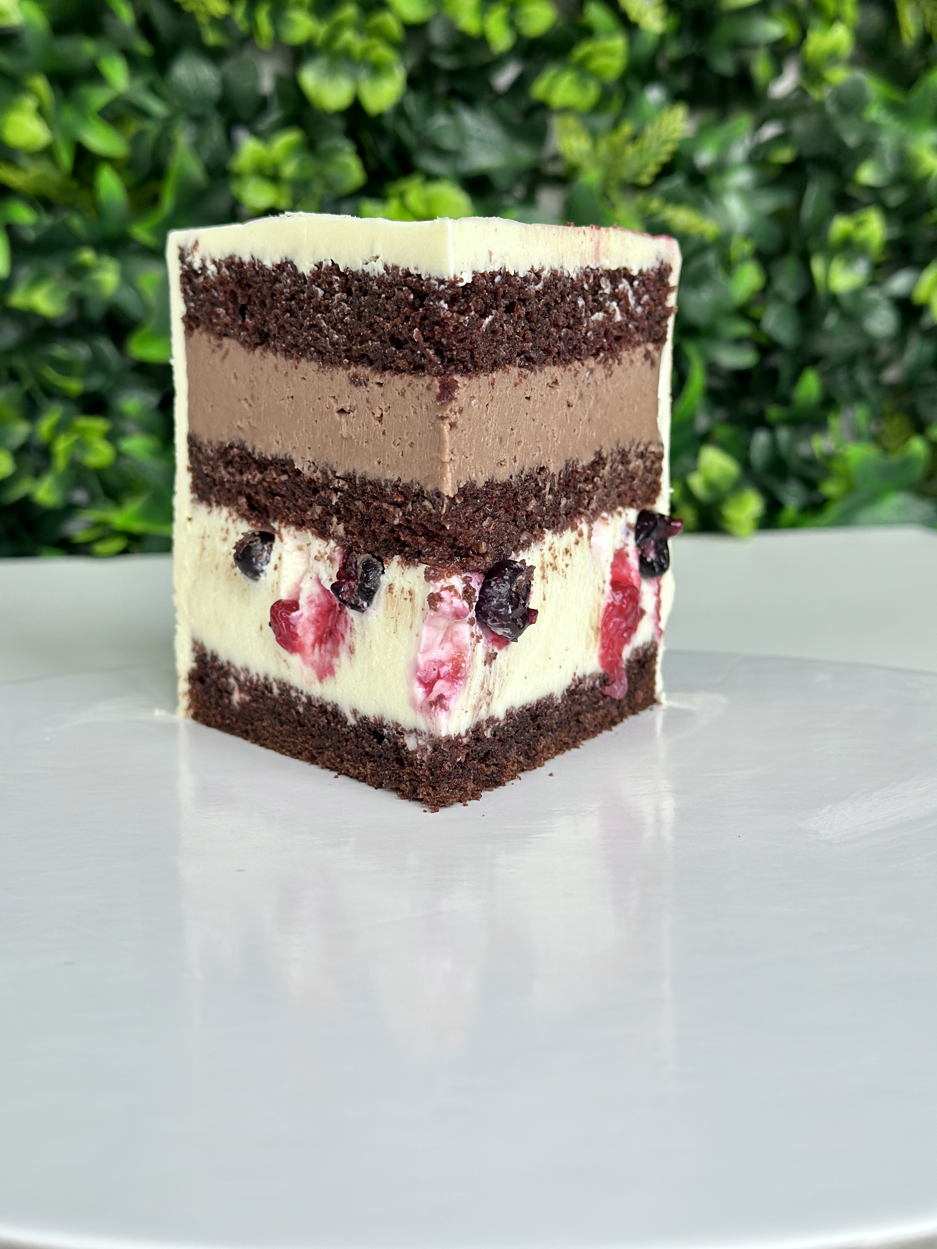 Tort DuoChoco cu Fructe