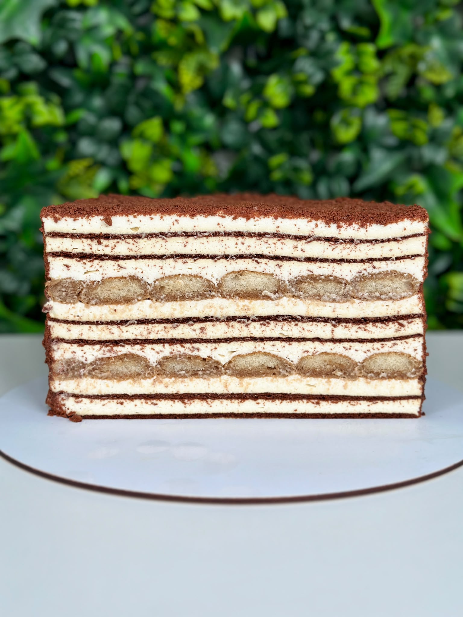 Tort Medovik Tiramisu